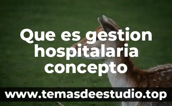 Dreamworks animation que es 8 Que es gestion hospitalaria concepto