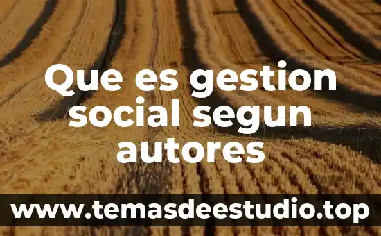 Qué es la gestión de la distribución de la planta 3 Que es gestion social segun autores