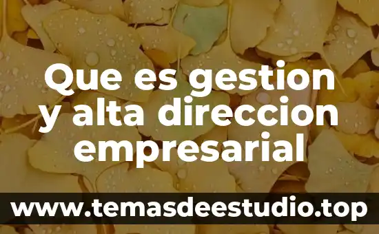 Que es gestion y alta direccion empresarial
