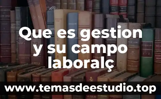 Que es el campo petrolero o planta refinería de petroleo 8 Que es gestion y su campo laboralç