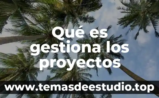 Que es un nbp en proyectos 5 Qué es gestiona los proyectos