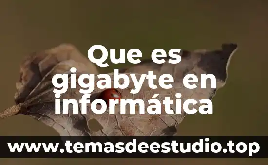 Que es web en informatica 6 Que es gigabyte en informática