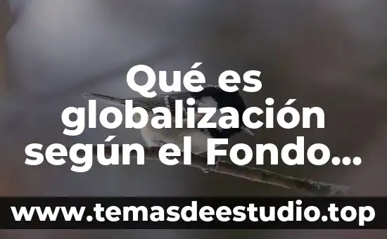 Que es el monetario en derecho mercantil 5 Qué es globalización según el Fondo Monetario Internacional