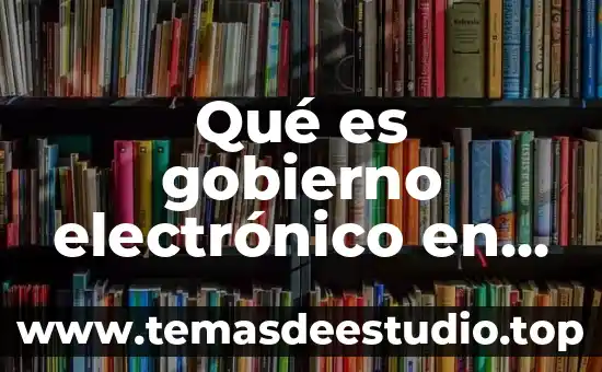 Qué es gobierno electrónico en Bolivia