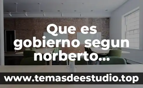 Qué es enfermería según la OMS definición 7 Que es gobierno segun norberto bobbio diccionario de politica