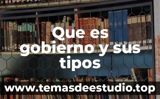 Que es gobierno y sus tipos