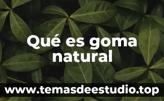 Que es significa natural y motivador 5 Qué es goma natural