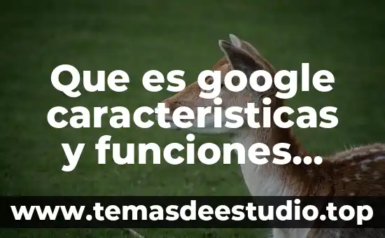 Macroeconomia que es cuentas principales y sus definiciones 8 Que es google caracteristicas y funciones principáles