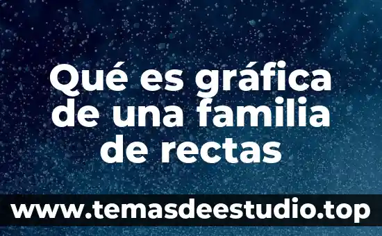 Que es grafica de apoyo dentro de la identidad isual 5 Qué es gráfica de una familia de rectas