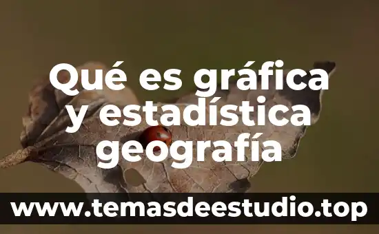 Que es la representación grafica de funciones 8 Qué es gráfica y estadística geografía