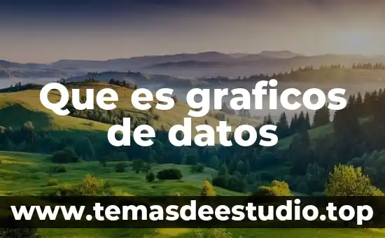 Que es graficos de datos