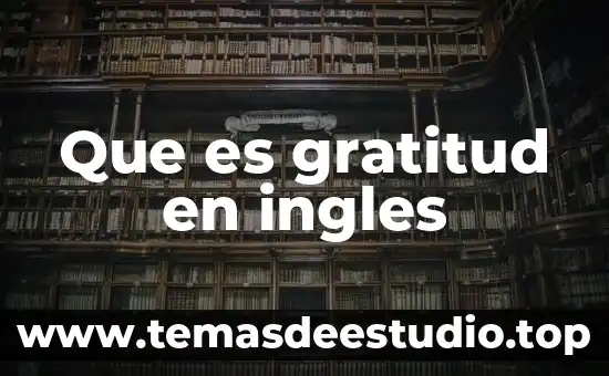 Que es gratitud en ingles