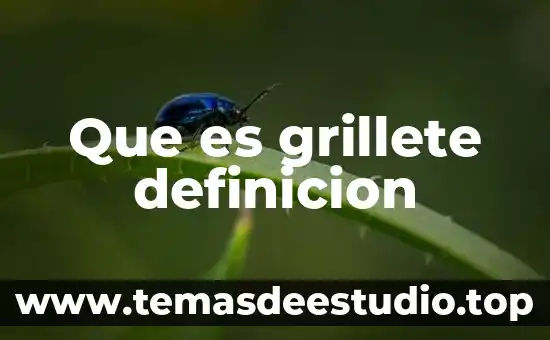 Que es grillete definicion
