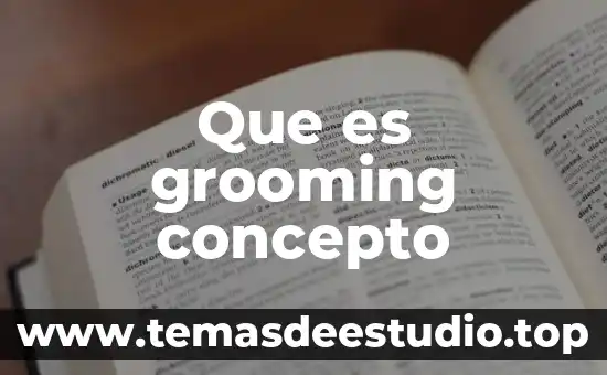 Que es grooming concepto