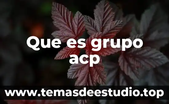 En administracion que es un diagrama de flujo 5 Que es grupo acp