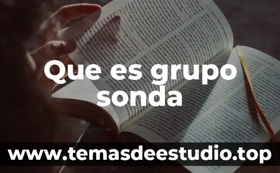 Que es el grupo geo 3 Que es grupo sonda
