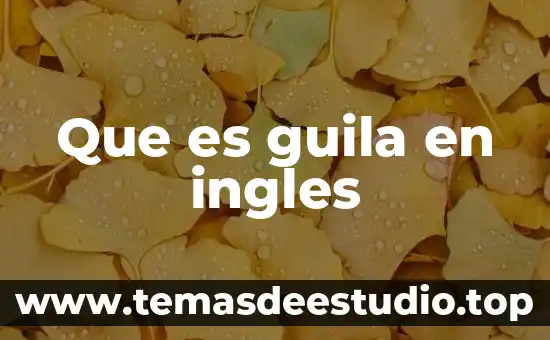 ¿Qué es significa greedy coloring en inglés a español? 3 Que es guila en ingles
