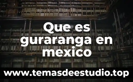 Que es una sociedad por capital 7 Que es guraranga en mexico