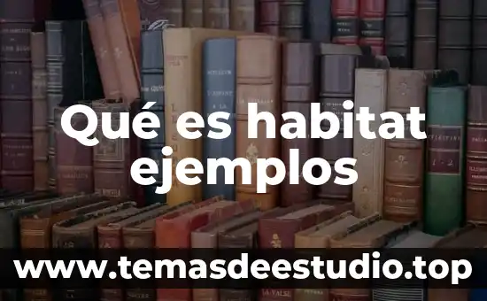 Que es habitat social 3 Qué es habitat ejemplos