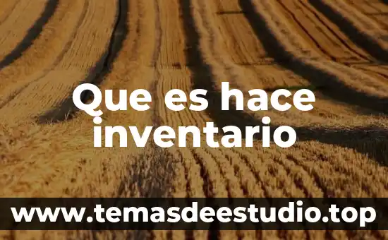 Qué es lo que hace que te cresca el pelo 3 Que es hace inventario
