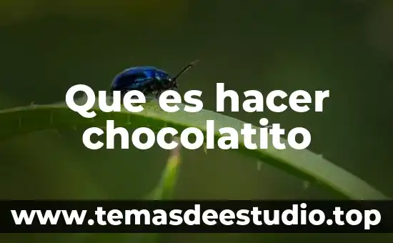 Que es hacer caballito en gta vice city 8 Que es hacer chocolatito