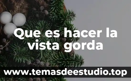 Que es hacer la vista gorda