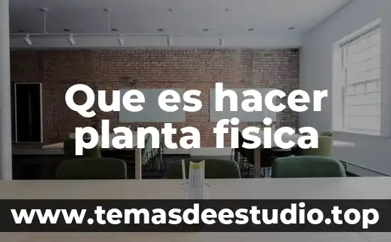 Preguntas sobre lo importante que es hacer ejercicio 3 Que es hacer planta fisica