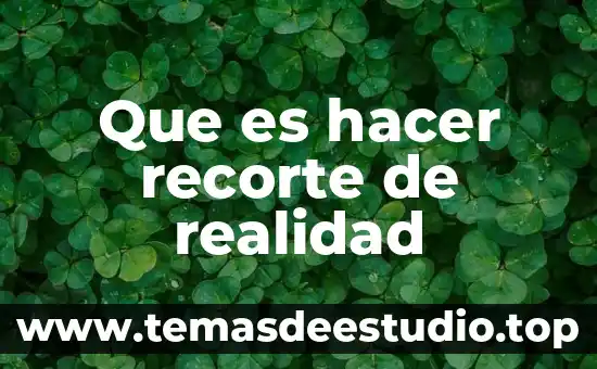 Que es lo que se puede hacer en dubai 7 Que es hacer recorte de realidad