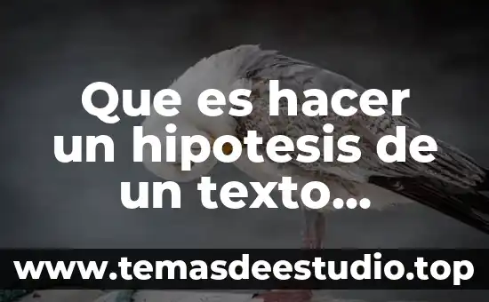Qué es la hipótesis de investigación 7 Que es hacer un hipotesis de un texto literario
