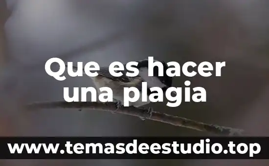 Que es lo que puedes hacer en una fiesta 8 Que es hacer una plagia
