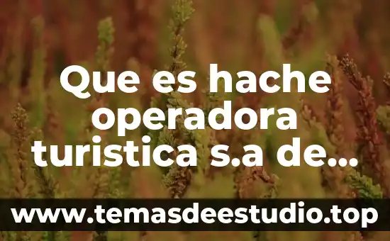 Que es hache operadora turistica s.a de c.v