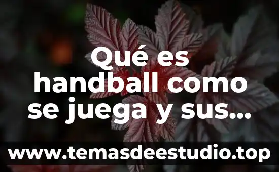 Que es la indiaca y como de juega 4 Qué es handball como se juega y sus reglas