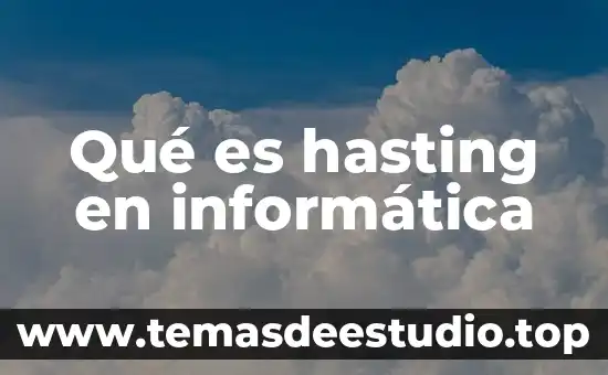 Que es un site en informatica concepto 6 Qué es hasting en informática