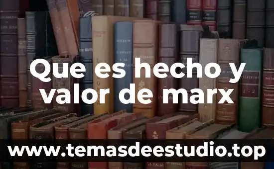 Que es hecho y valor de marx