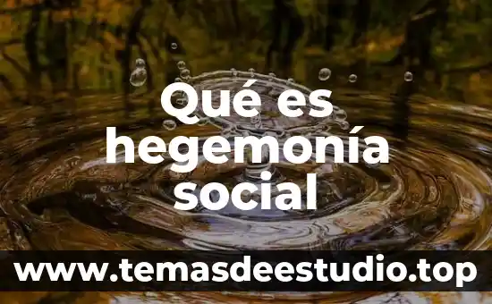 Que es vida social 6 Qué es hegemonía social