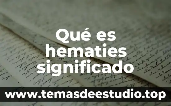 Que es ser hermafrodita significado 3 Qué es hematies significado