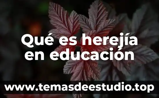 Qué es vark en la educación significado 3 Qué es herejía en educación
