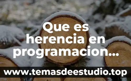 Qué es un egloga y ejemplo 8 Que es herencia en programacion ejemplo
