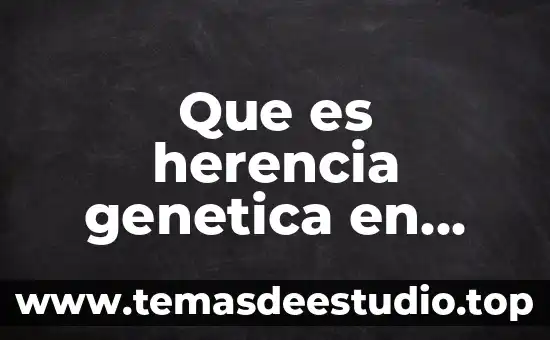 Que es herencia genetica en biologia