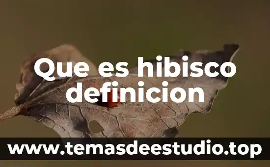 Que es hibisco definicion