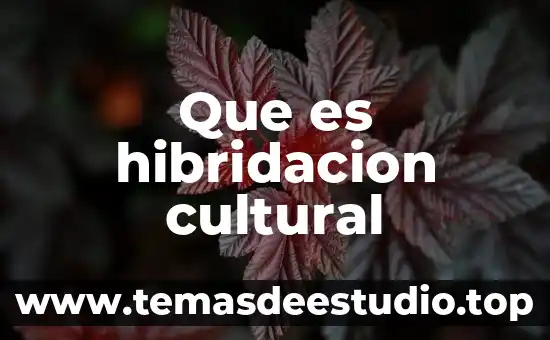 Que es hibridacion cultural