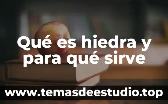 Qué es la planta moringa y para qué sirve 7 Qué es hiedra y para qué sirve