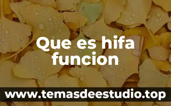 Que es la función en arquitectura 5 Que es hifa funcion
