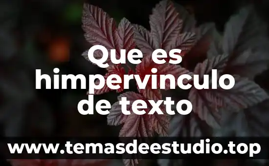 Qué es combinar y centrar texto 3 Que es himpervinculo de texto