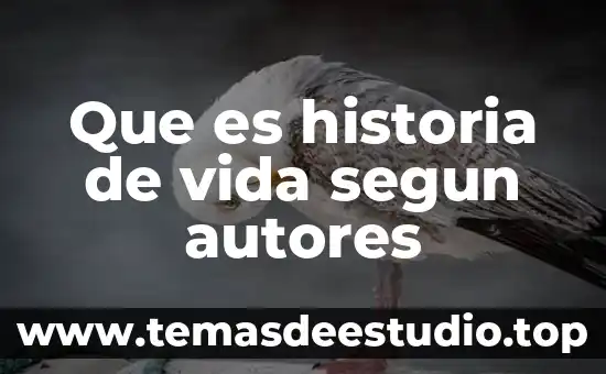 Que es el reciclajeu historia del resiclaje 8 Que es historia de vida segun autores
