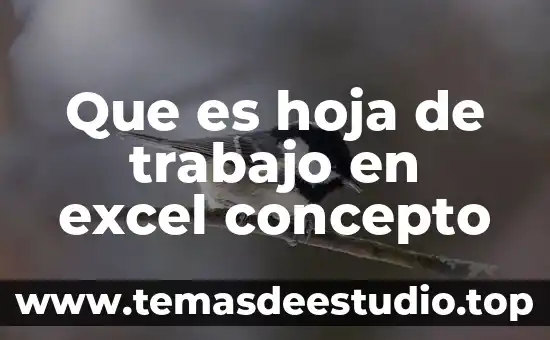 Qué es el entorno de trabajo de un sistema operativo 6 Que es hoja de trabajo en excel concepto
