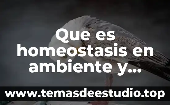 Que es el ambiente una obra literaria 3 Que es homeostasis en ambiente y sustentabilidad