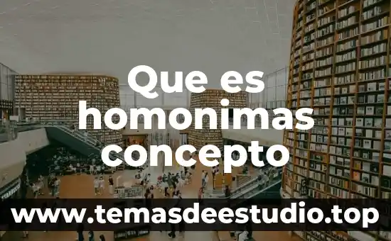 Que es homonimas concepto