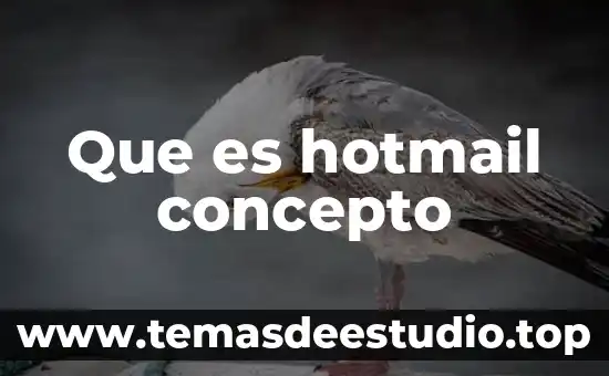 Que es gestión concepto enfocado a administración 8 Que es hotmail concepto