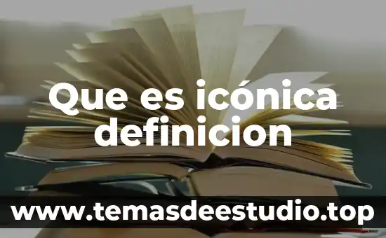 Que es icónica definicion
